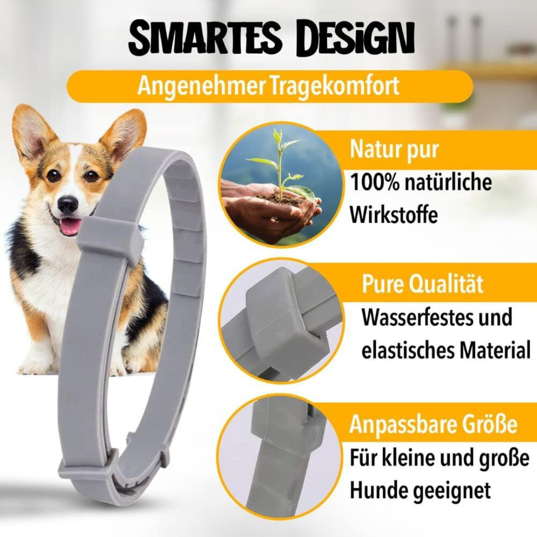 Natural Tick and Flea Protection for Dogs