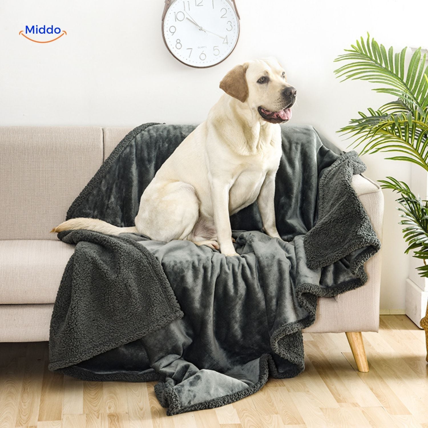 PawGuard™ Blanket | Waterproof, Soft Cotton Velvet, Discreet Protection!
