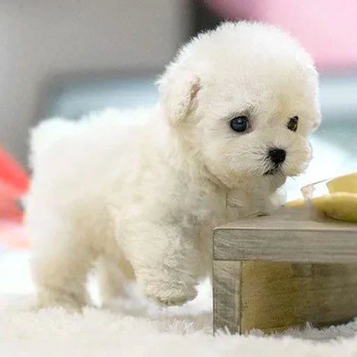 Realistic Plush Toy Puppy - Interactive Plush Friend